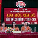 Đại hội đại biểu và Đại hội chi bộ trong nhiệm kỳ( 2020 - 2023) tại Việt Nam